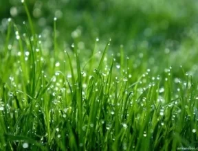 Dew point